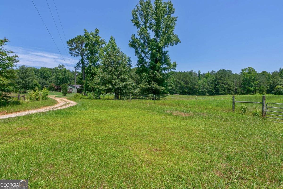 1828 Pitts Chapel Road Newborn - 27