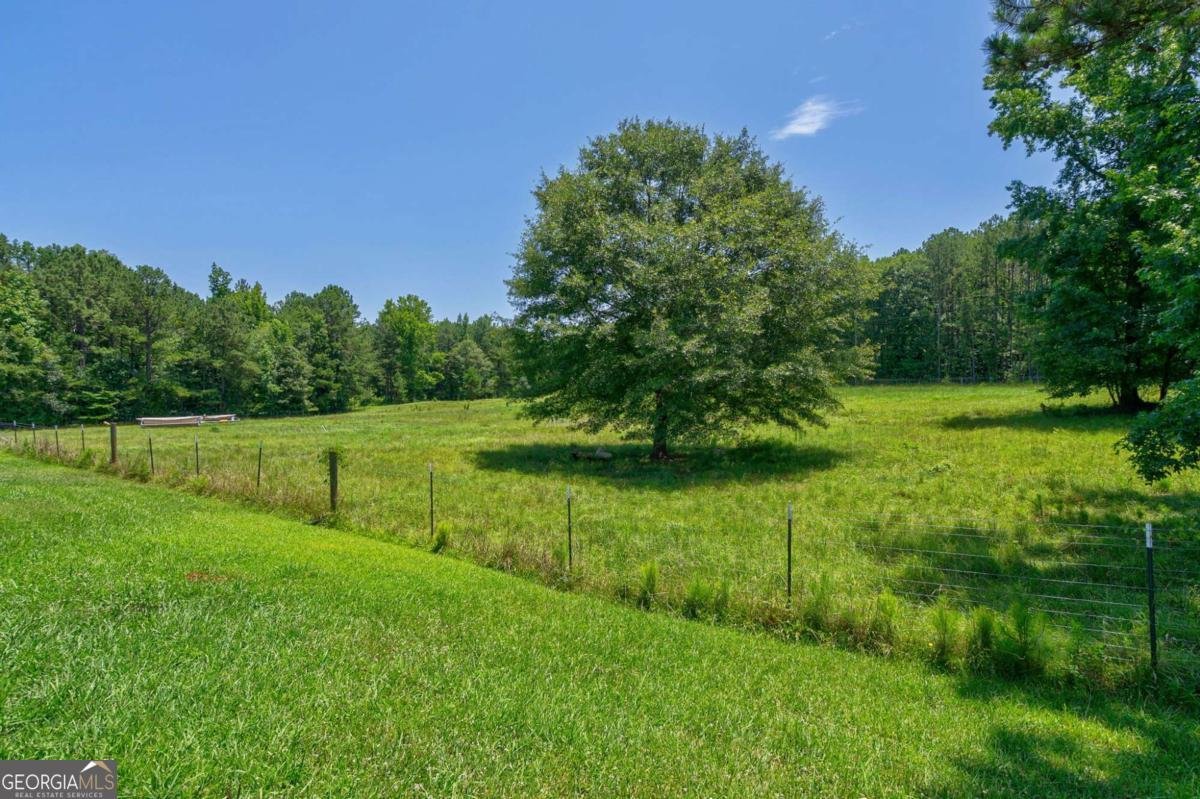 1828 Pitts Chapel Road Newborn - 31