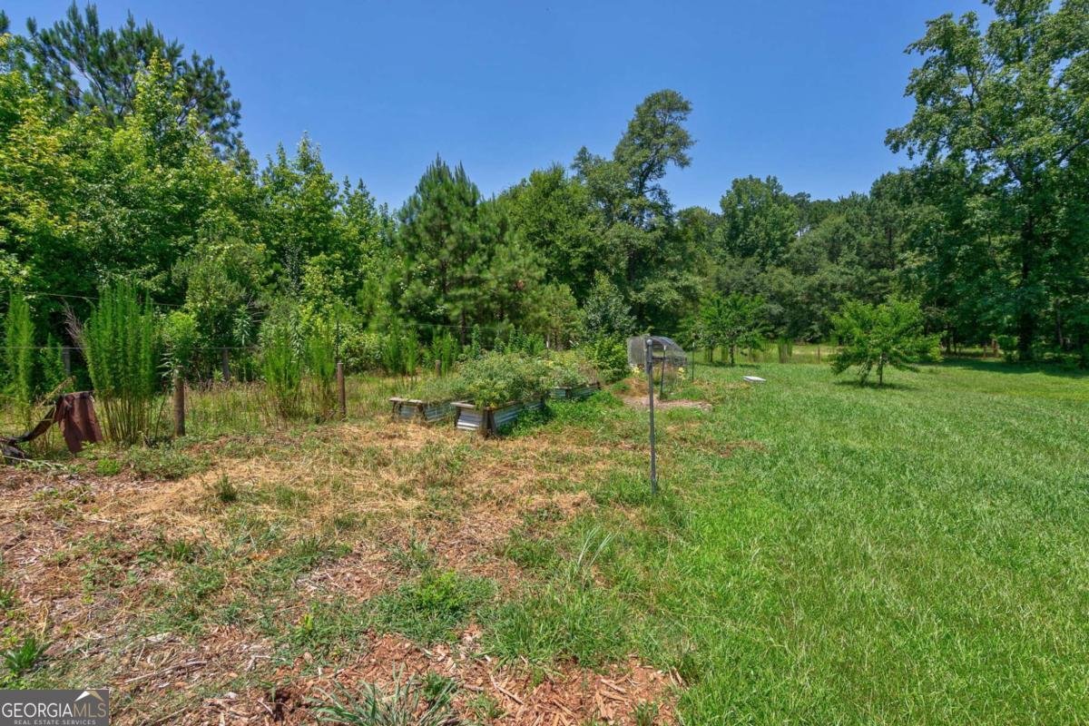 1828 Pitts Chapel Road Newborn - 34