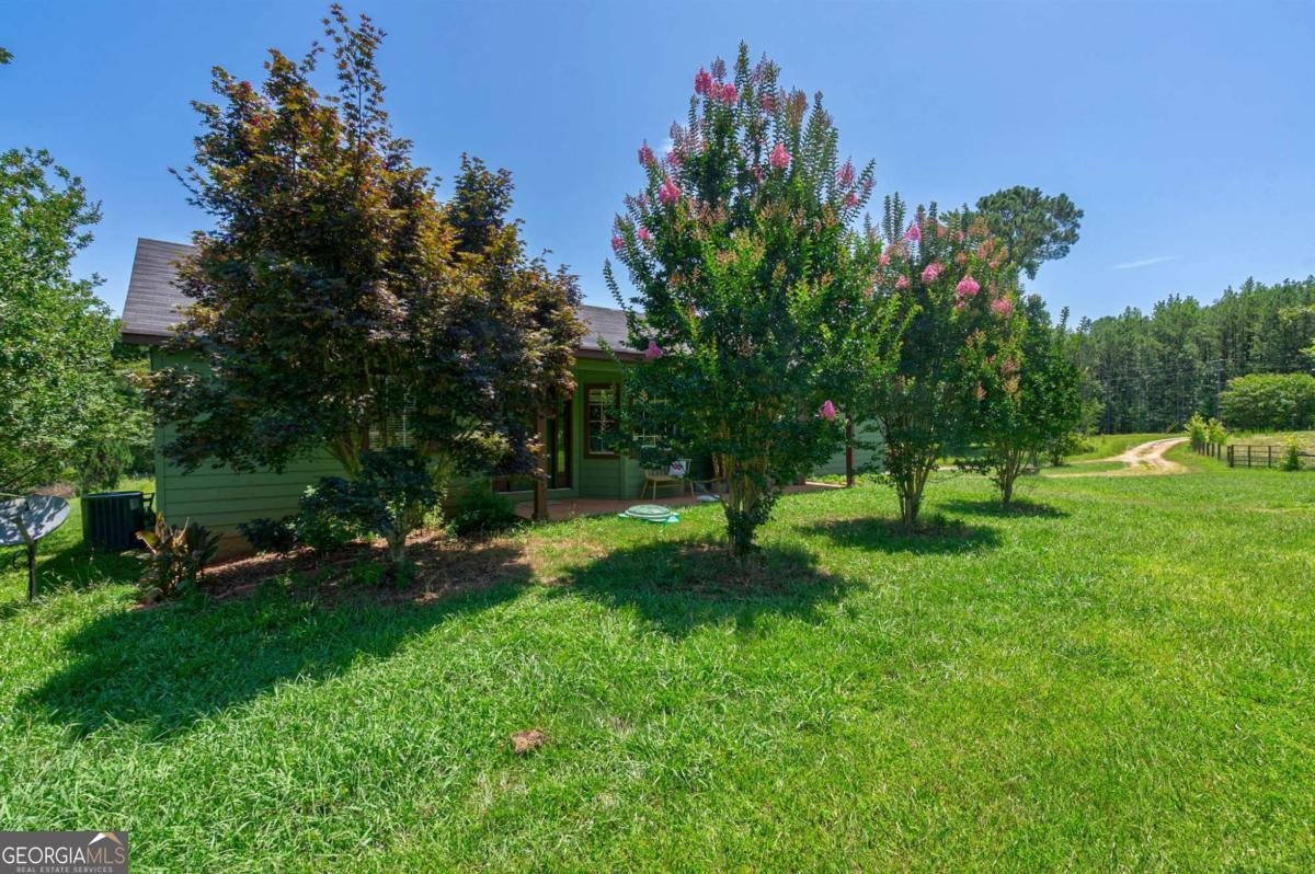1828 Pitts Chapel Road Newborn - 36