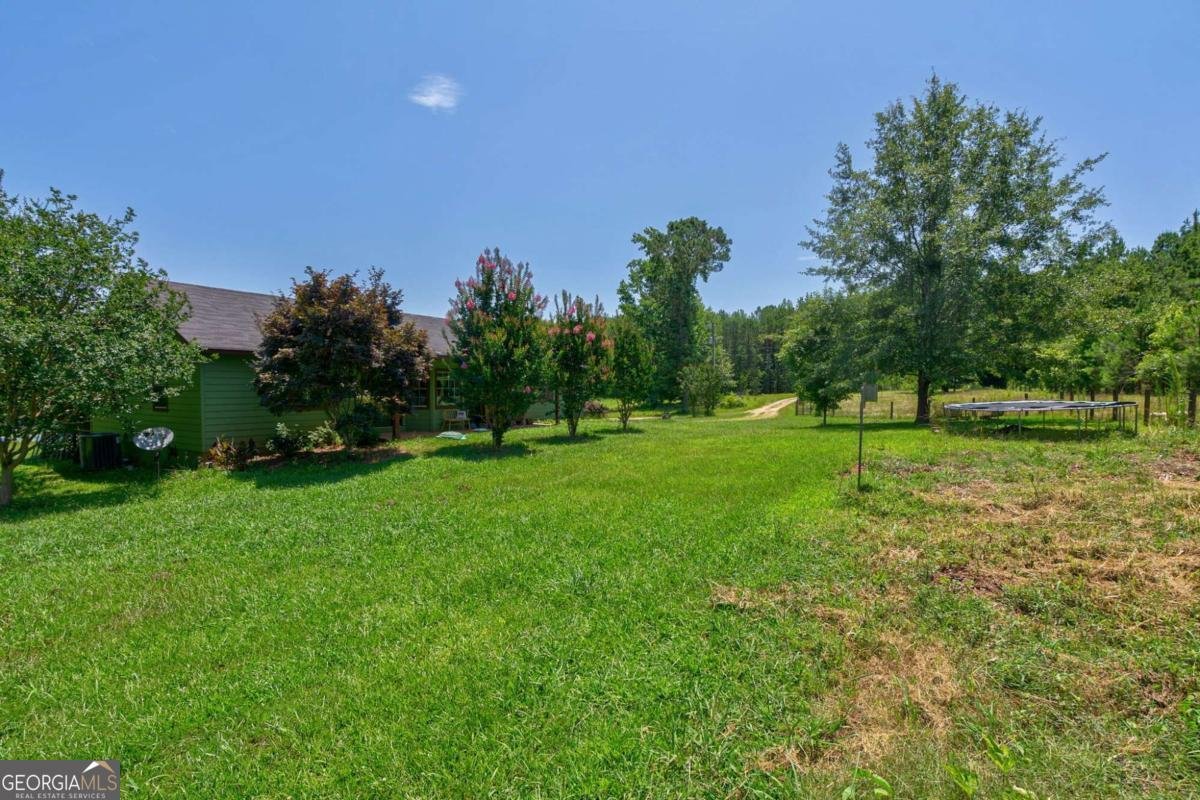 1828 Pitts Chapel Road Newborn - 37