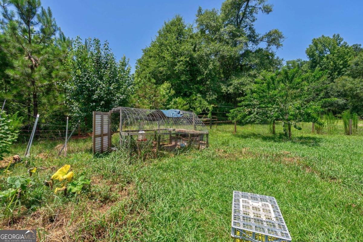 1828 Pitts Chapel Road Newborn - 38