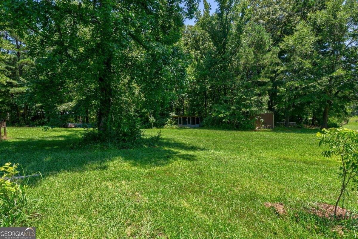1828 Pitts Chapel Road Newborn - 40