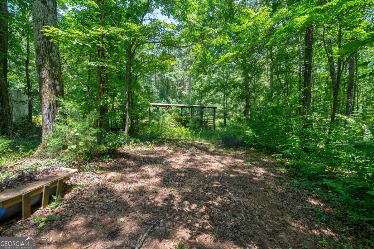 1828 Pitts Chapel Road Newborn - 44