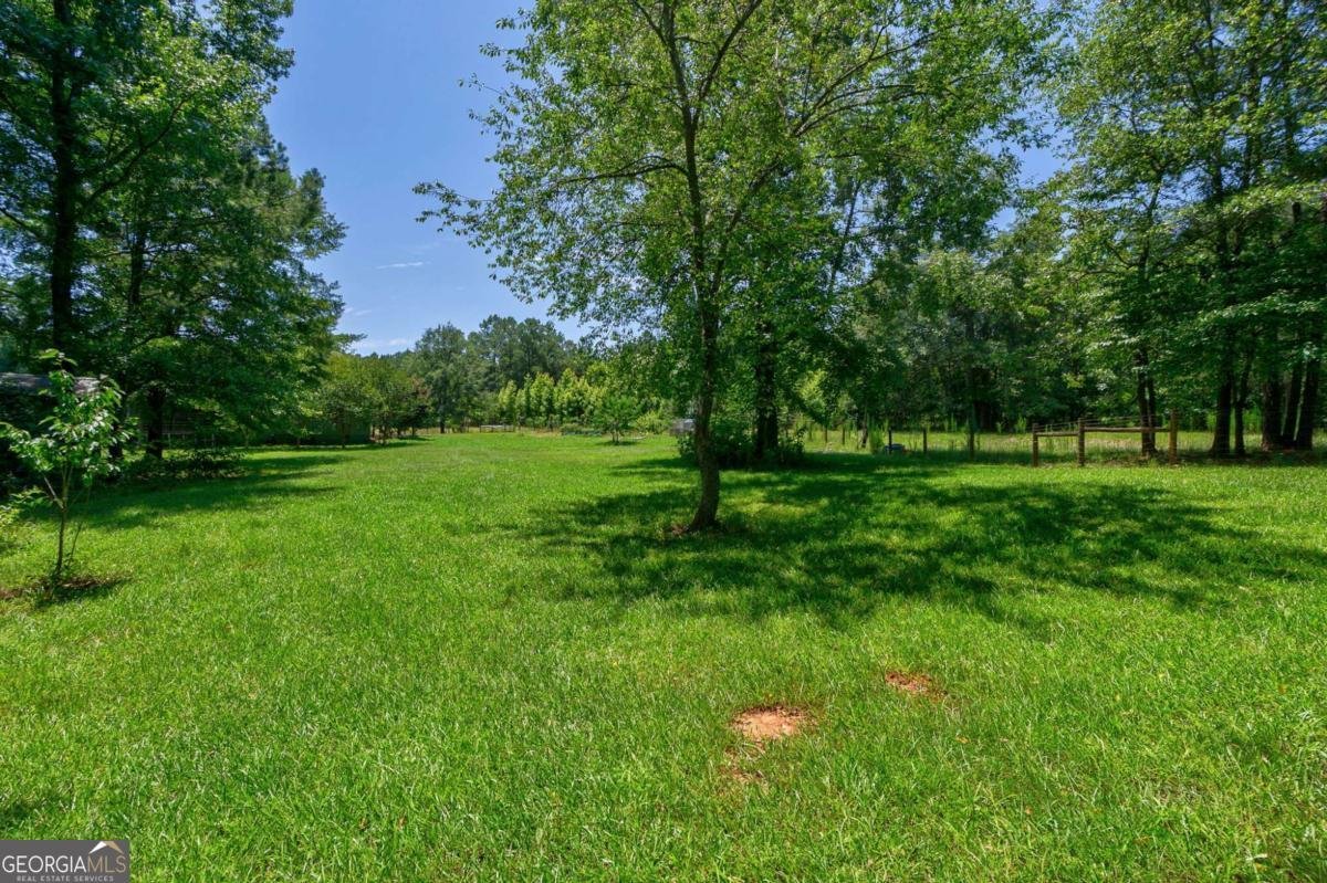 1828 Pitts Chapel Road Newborn - 45