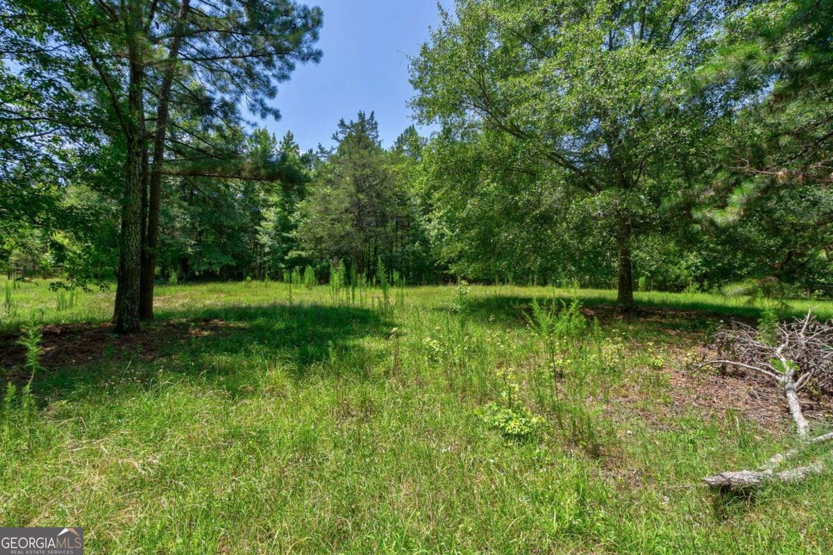 1828 Pitts Chapel Road Newborn - 46