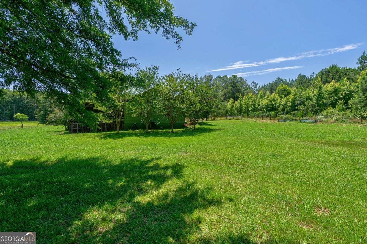 1828 Pitts Chapel Road Newborn - 47