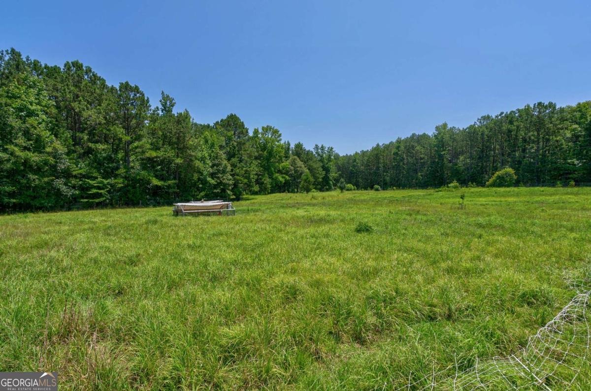 1828 Pitts Chapel Road Newborn - 56