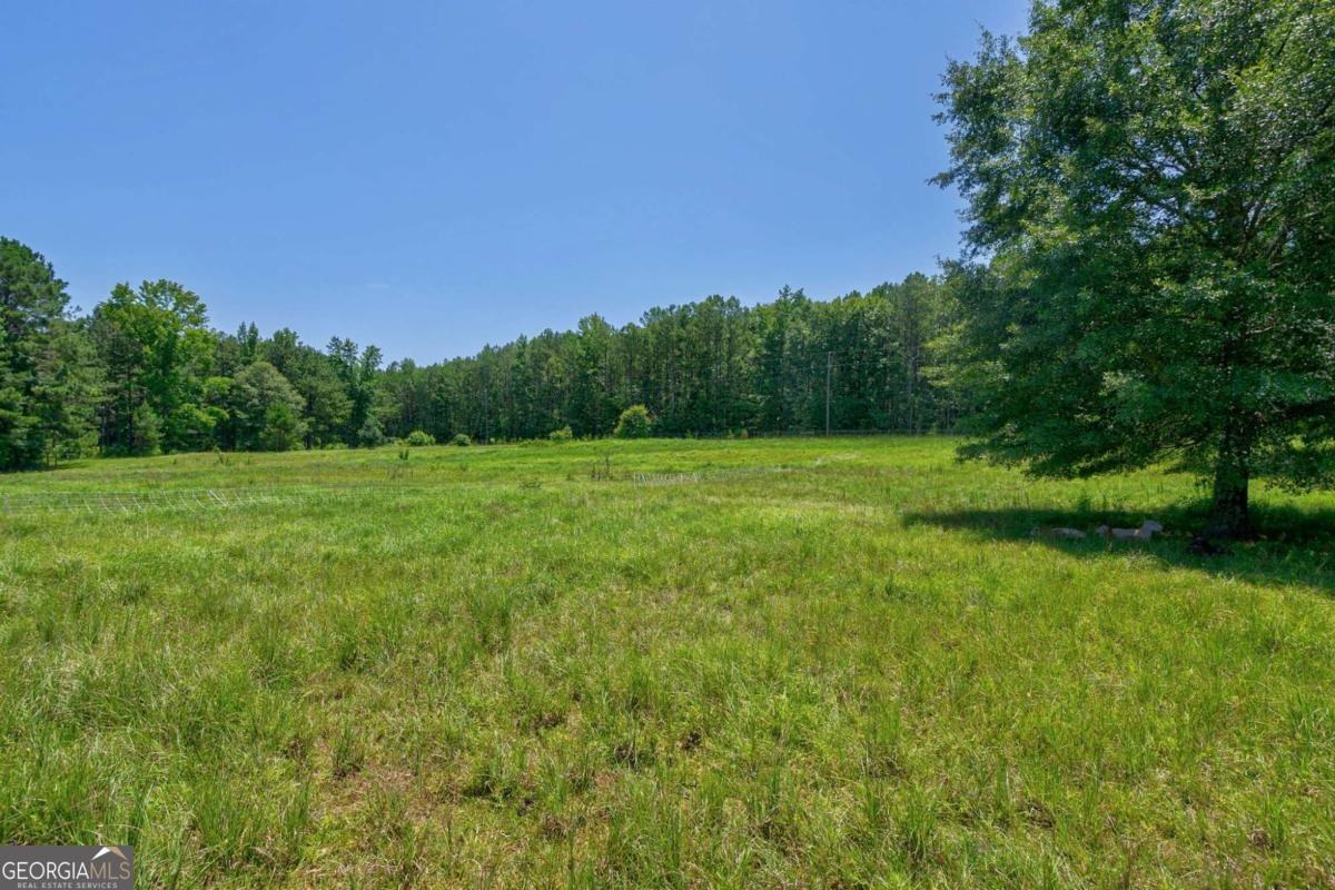 1828 Pitts Chapel Road Newborn - 58