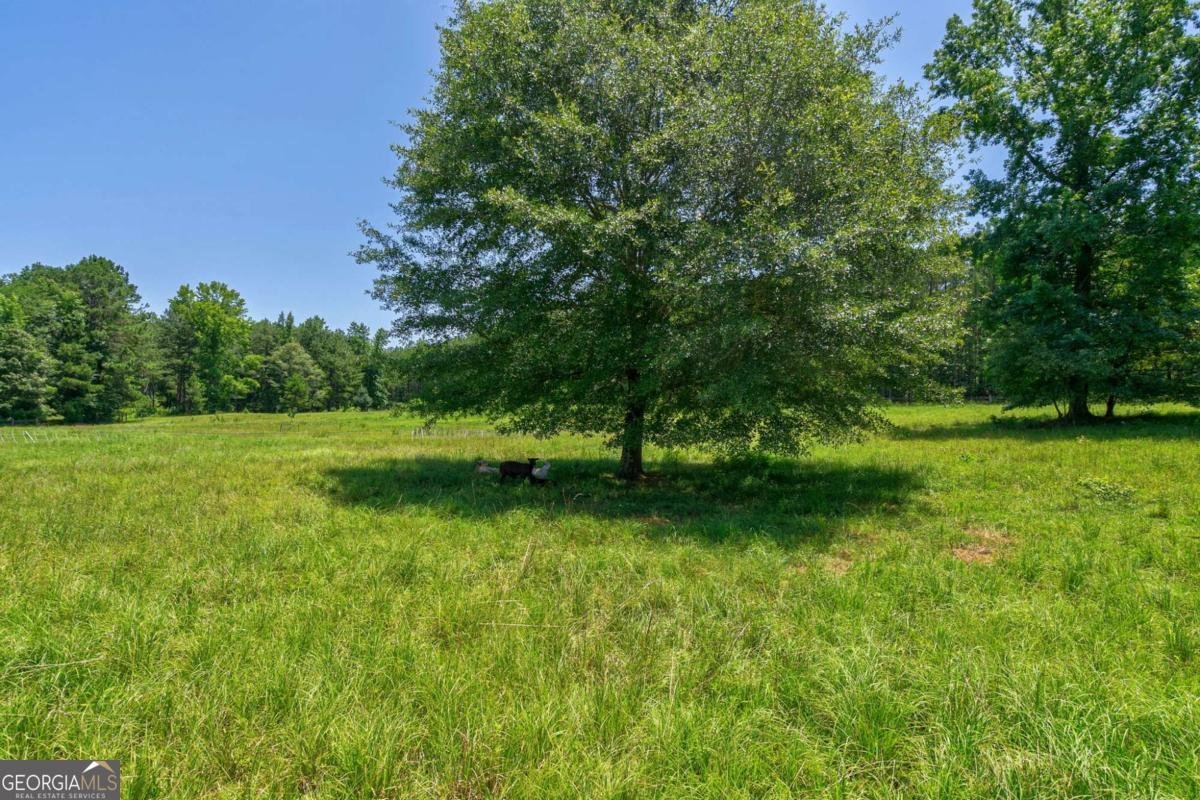 1828 Pitts Chapel Road Newborn - 60