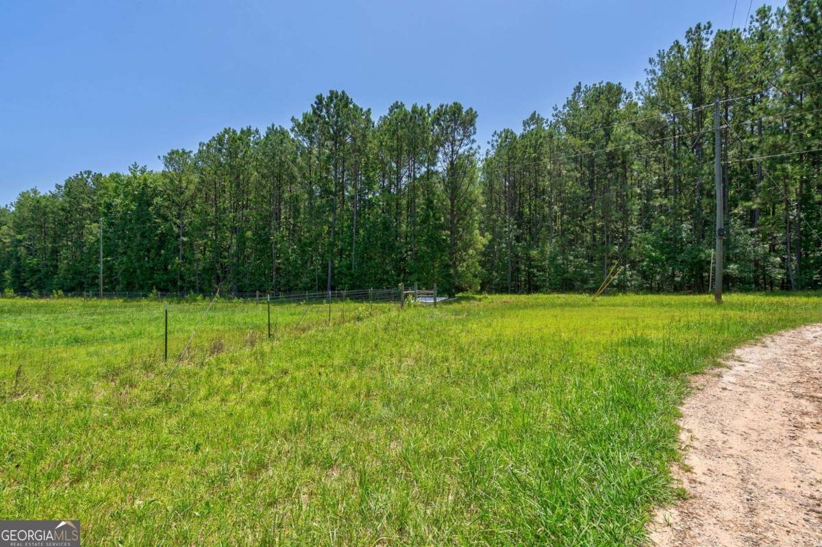1828 Pitts Chapel Road Newborn - 62