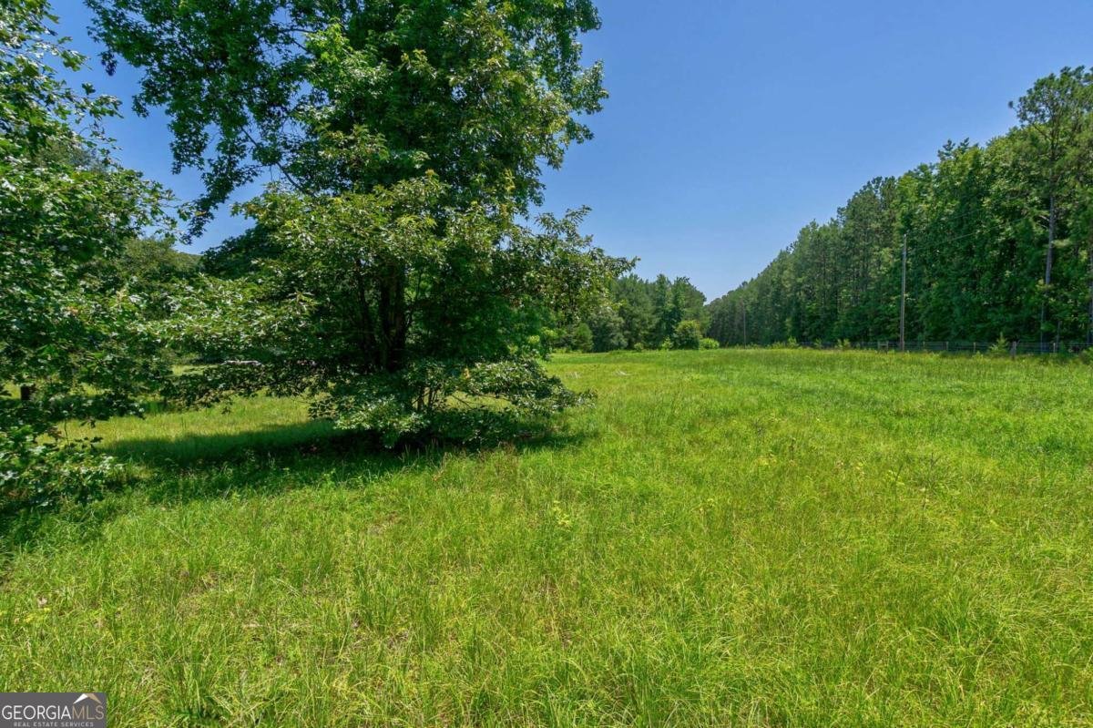 1828 Pitts Chapel Road Newborn - 63
