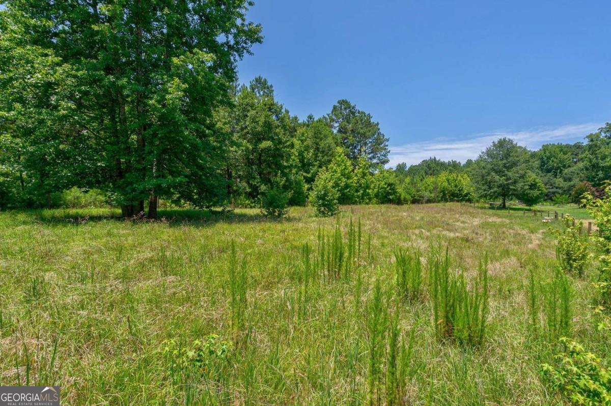 1828 Pitts Chapel Road Newborn - 64