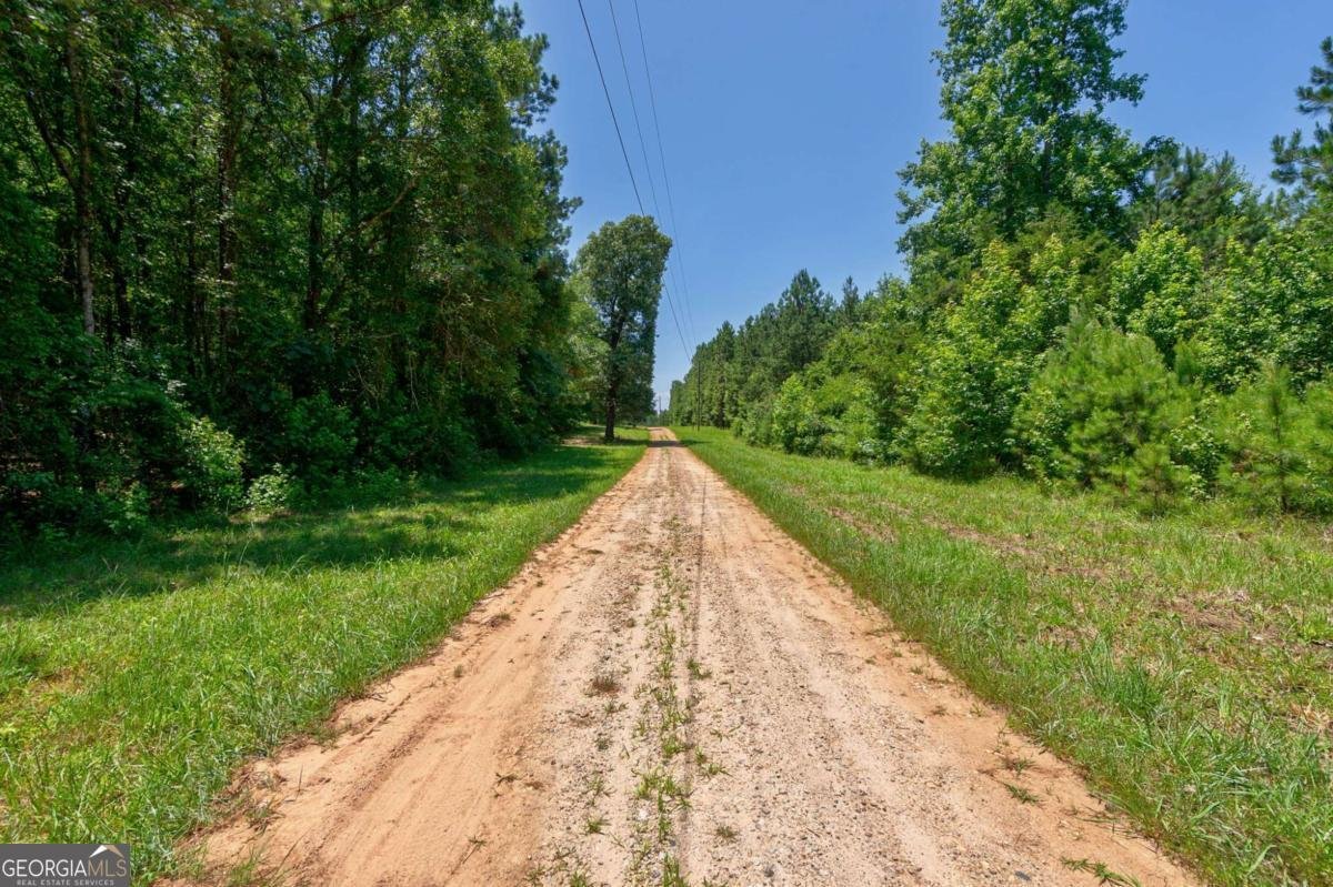1828 Pitts Chapel Road Newborn - 65