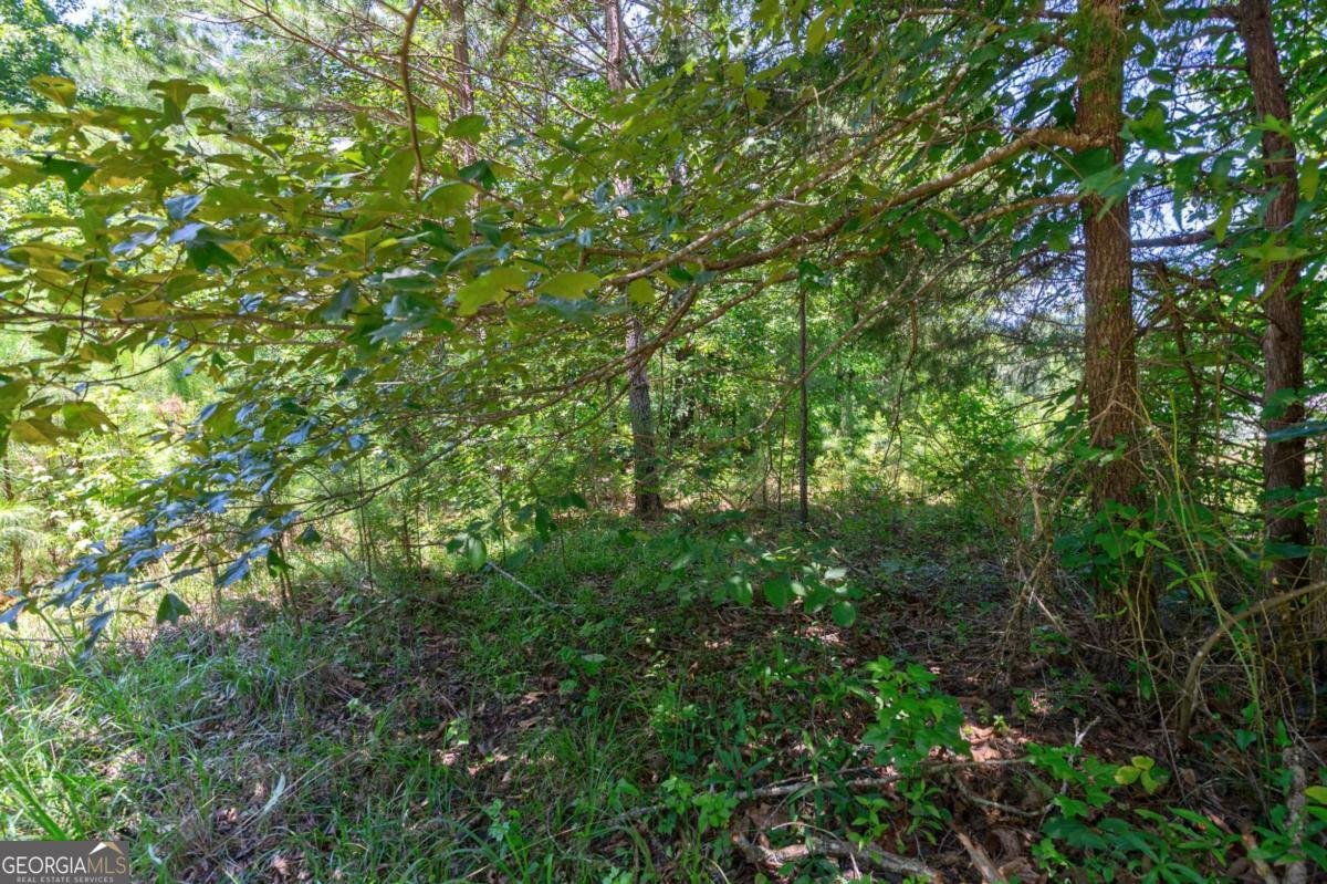 1828 Pitts Chapel Road Newborn - 67