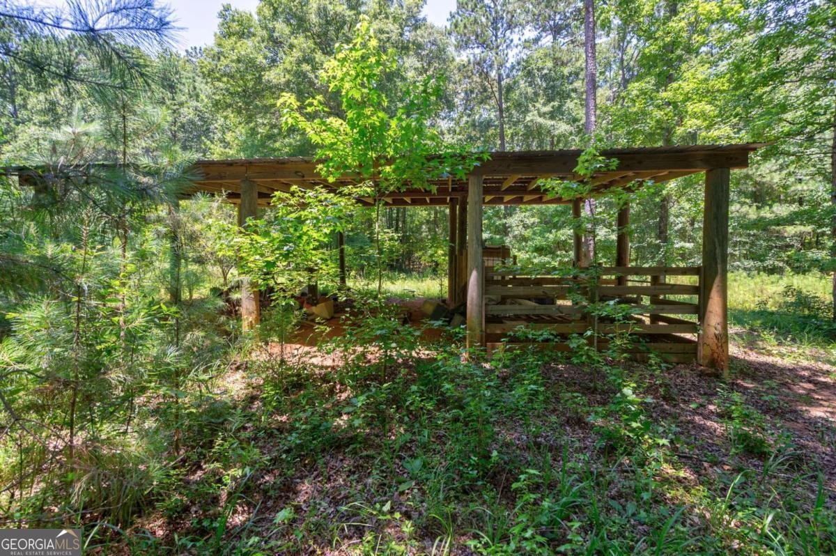 1828 Pitts Chapel Road Newborn - 70