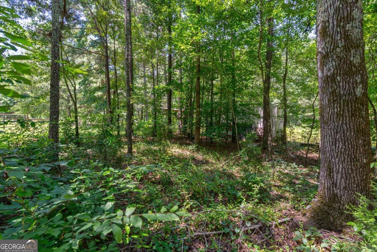 1828 Pitts Chapel Road Newborn - 71