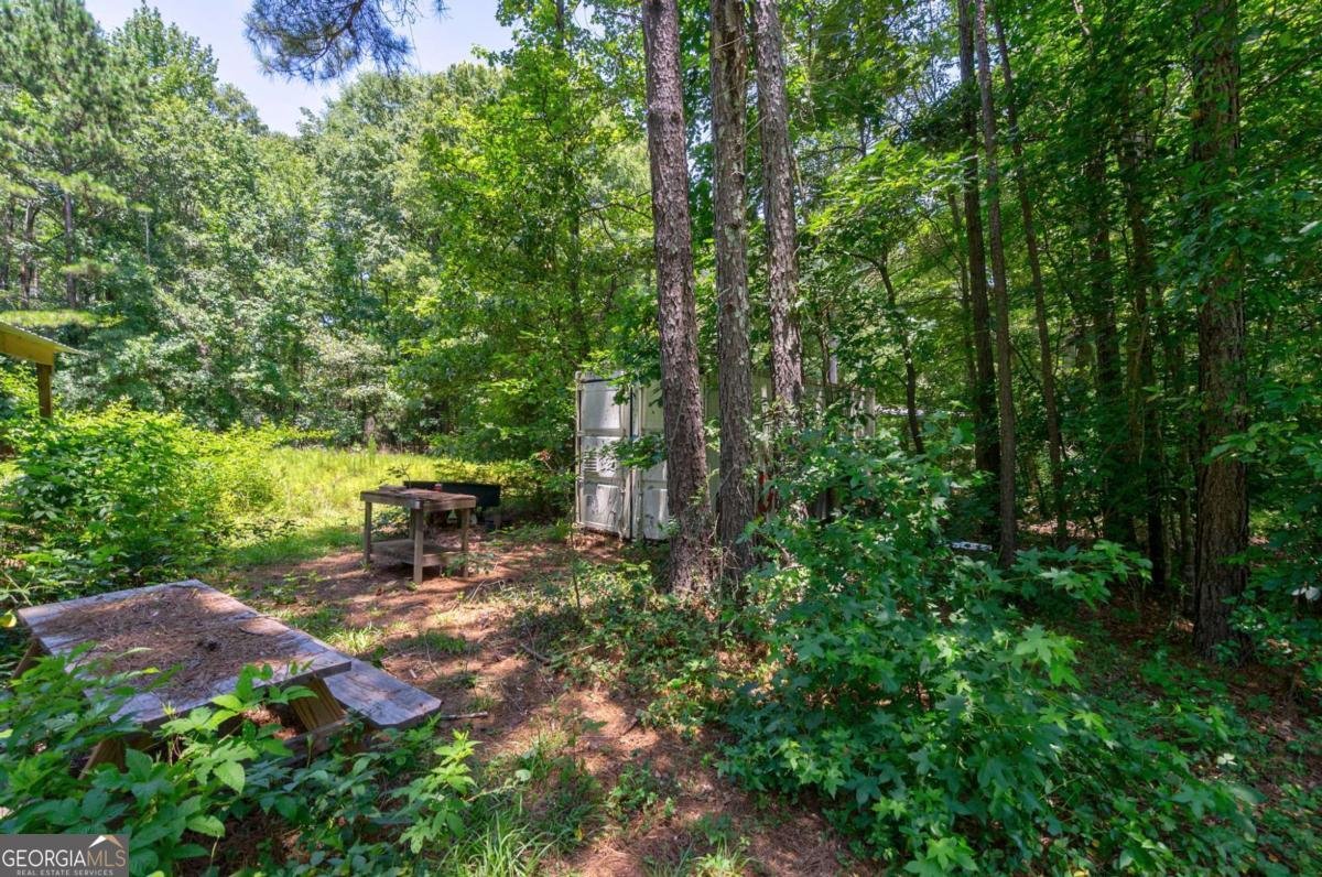 1828 Pitts Chapel Road Newborn - 72