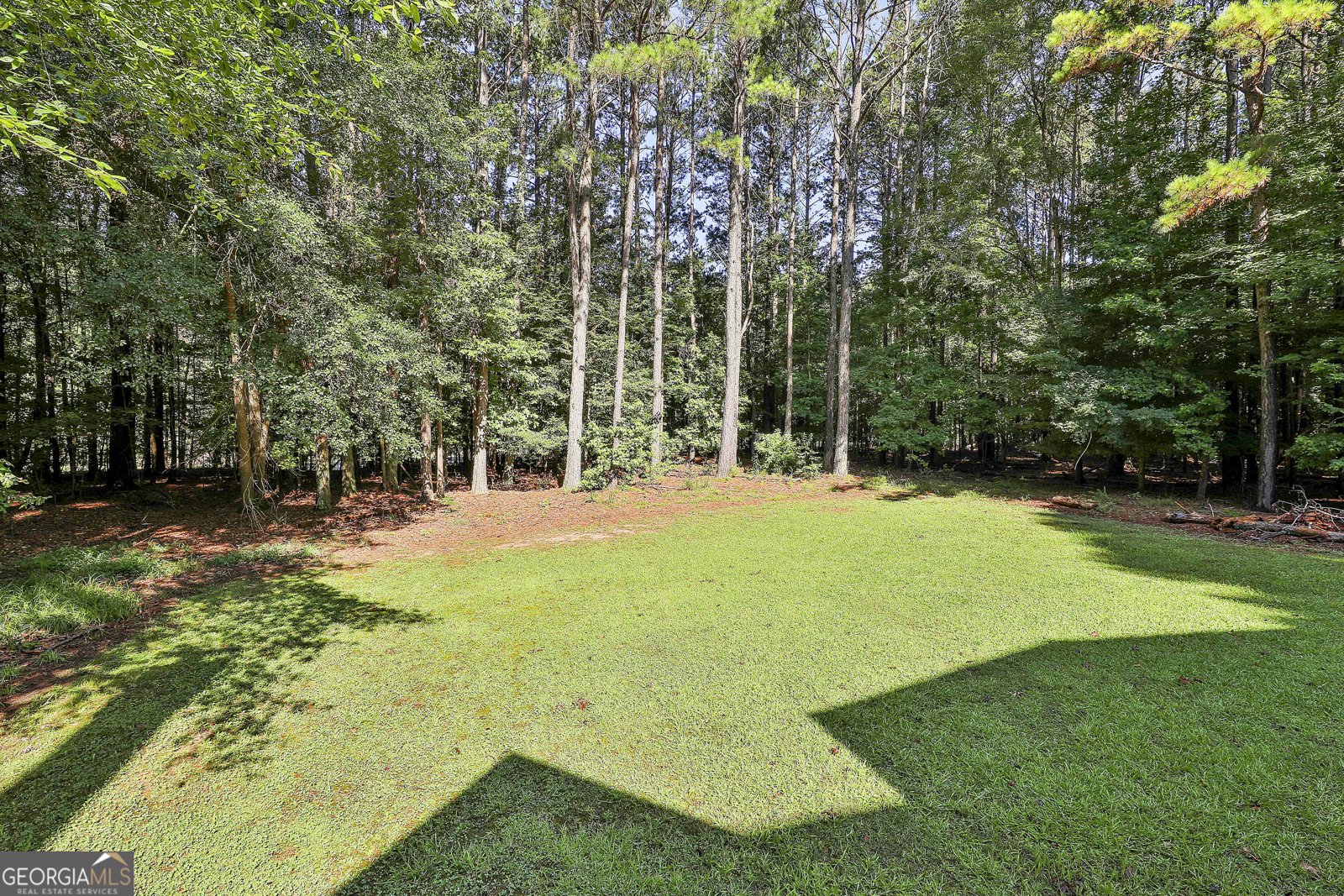 1202 Loxley Circle Peachtree City - 43