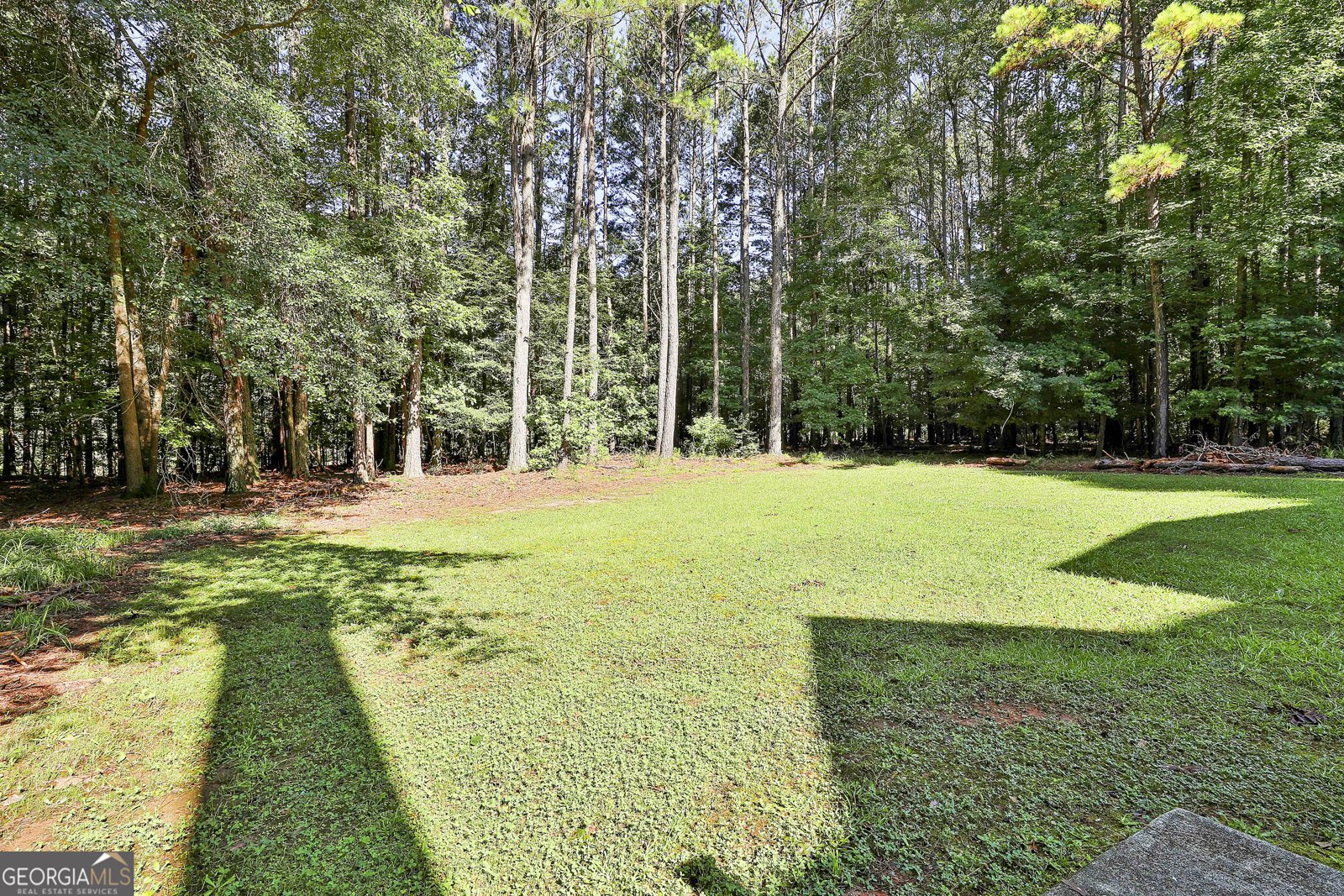 1202 Loxley Circle Peachtree City - 44