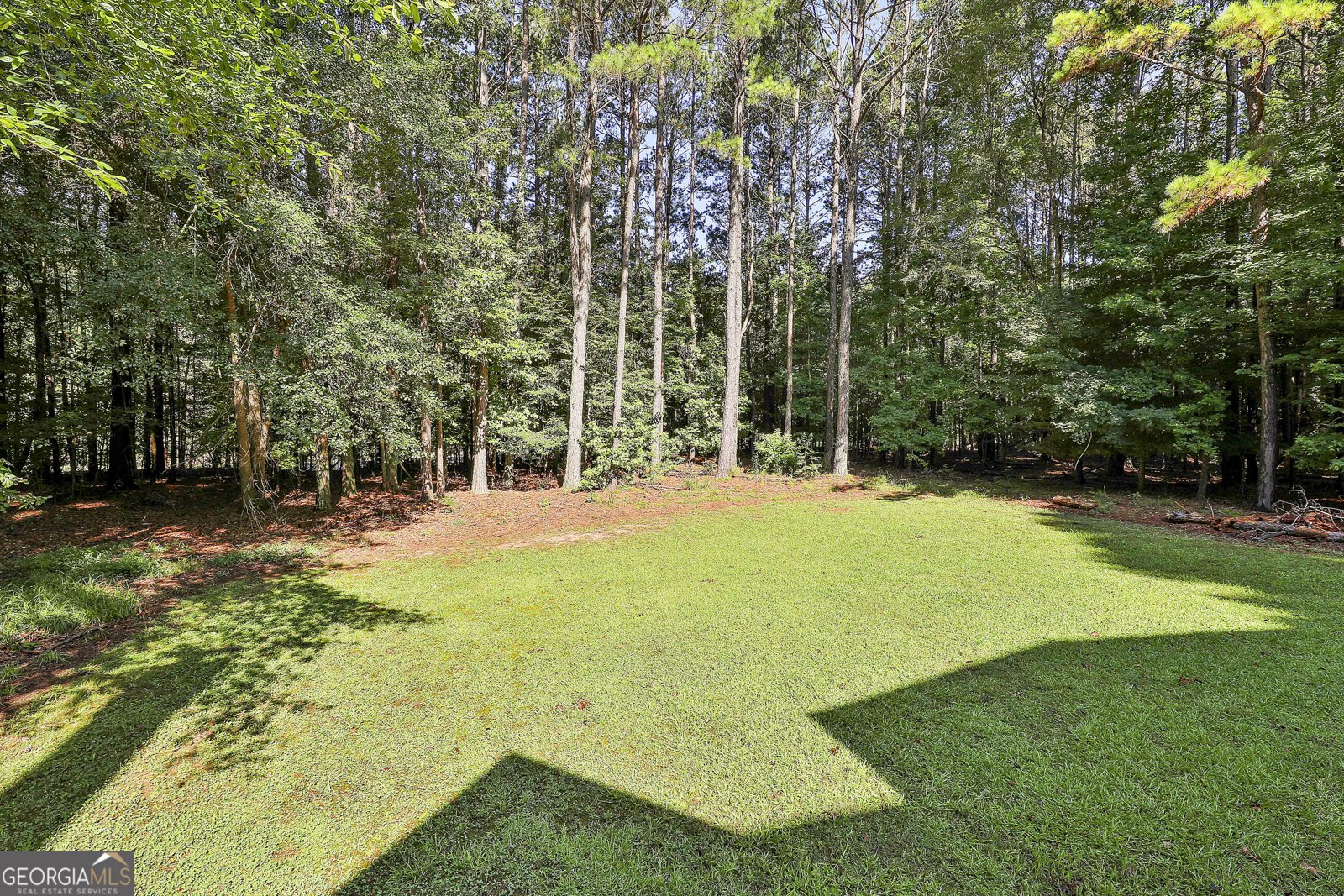 1202 Loxley Circle Peachtree City - 51
