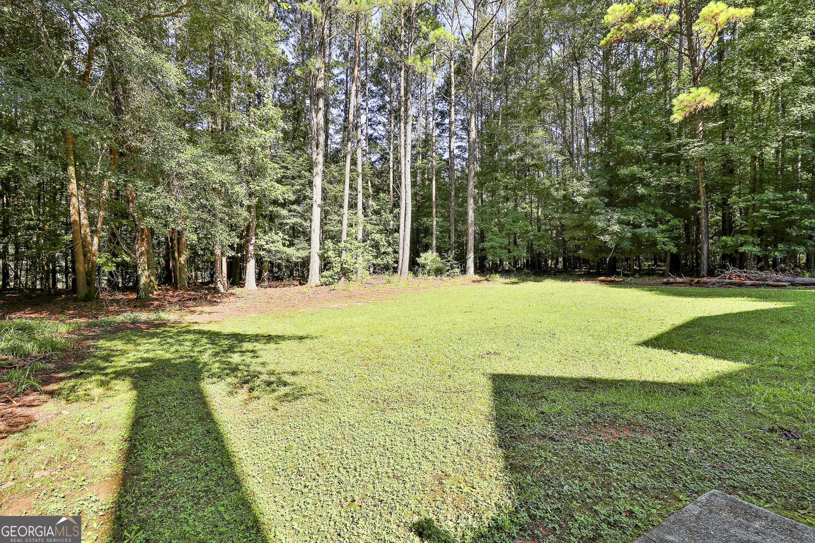 1202 Loxley Circle Peachtree City - 52
