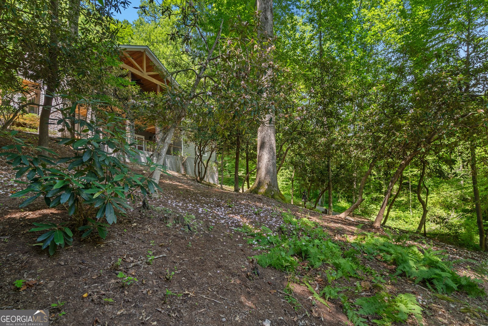 112 Springhill Lane Clarkesville - 56