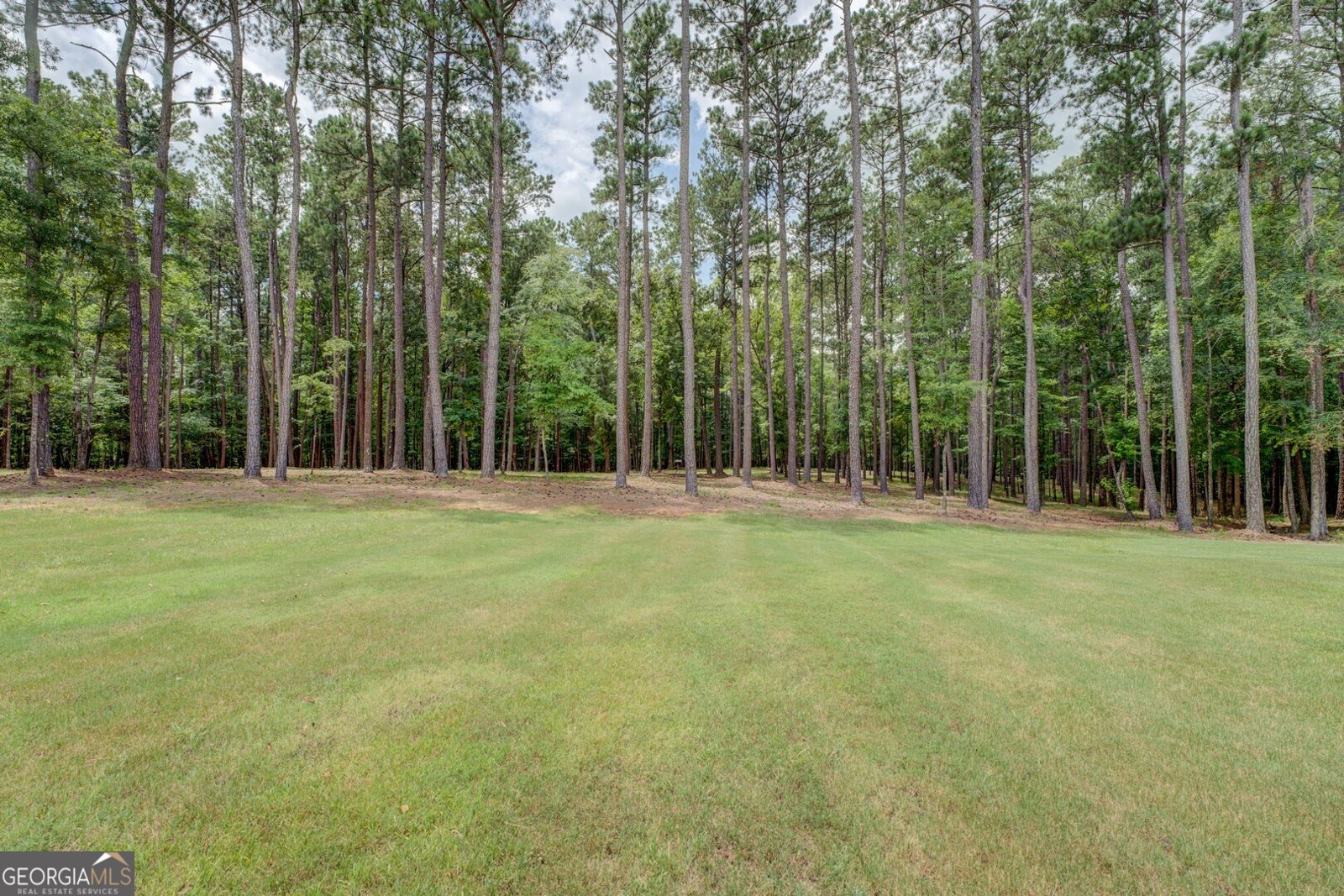 2591 Reids Ferry Road Buckhead - 7
