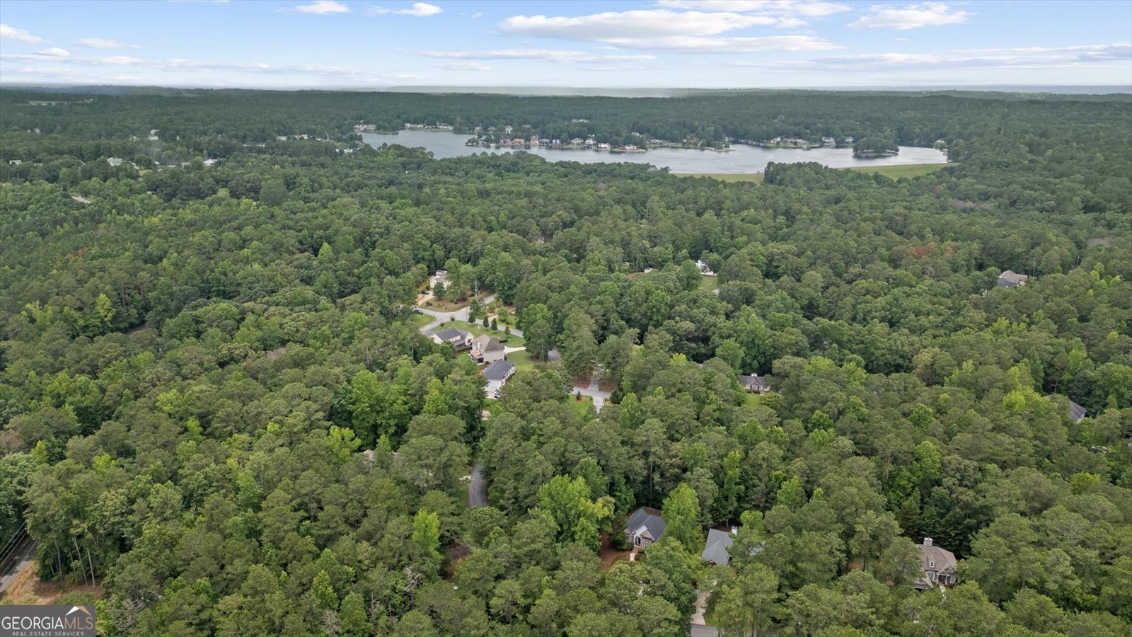 8189 Pine Cone Drive Villa Rica - 3