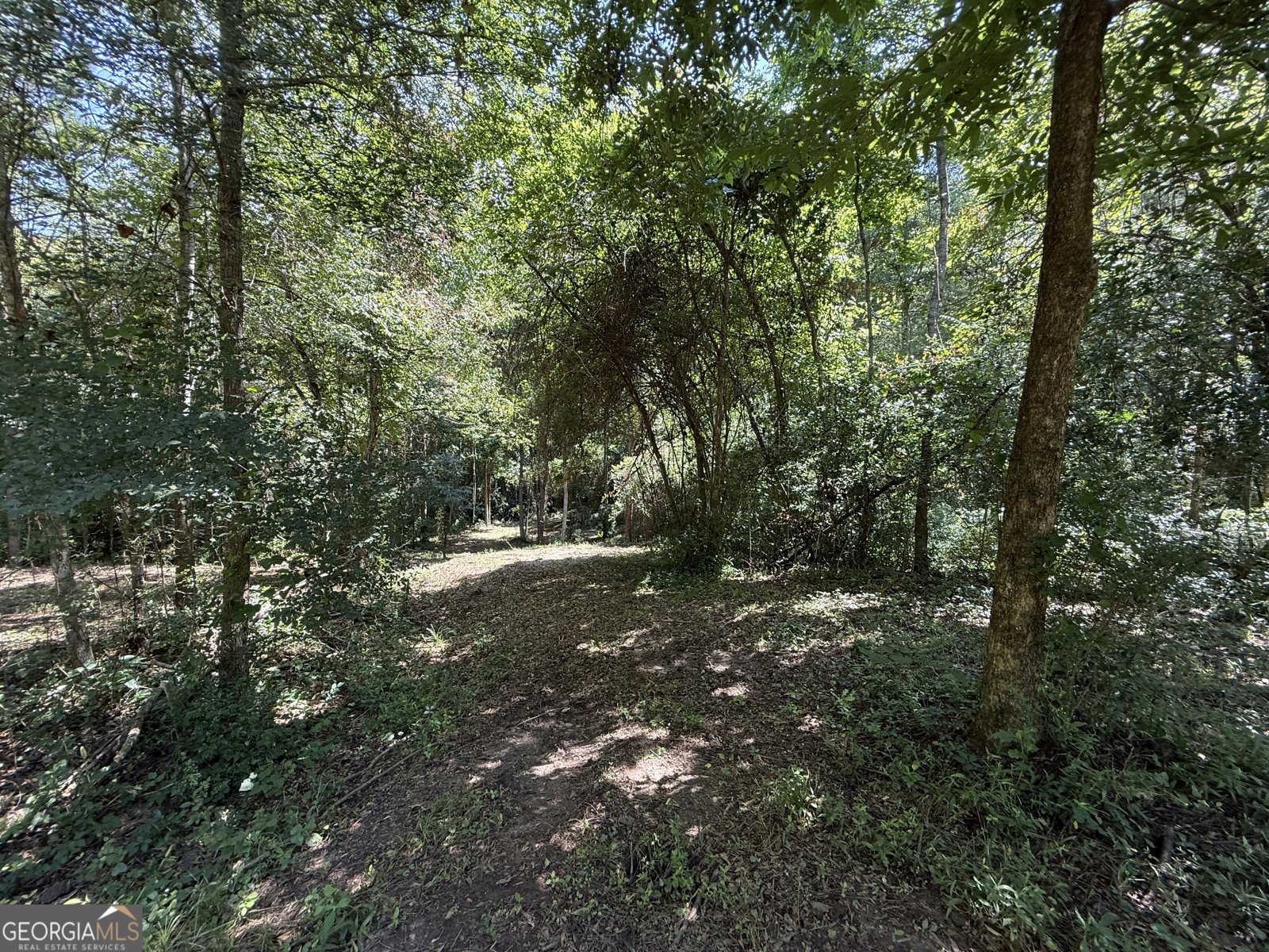 6164 Warner Road Columbus - 29