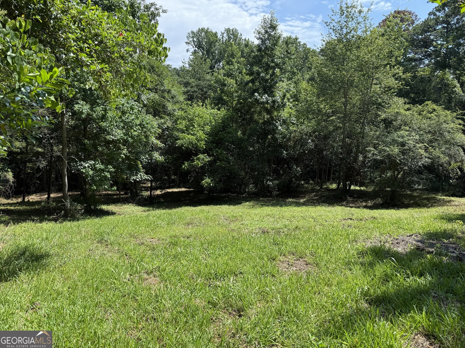 6164 Warner Road Columbus - 37