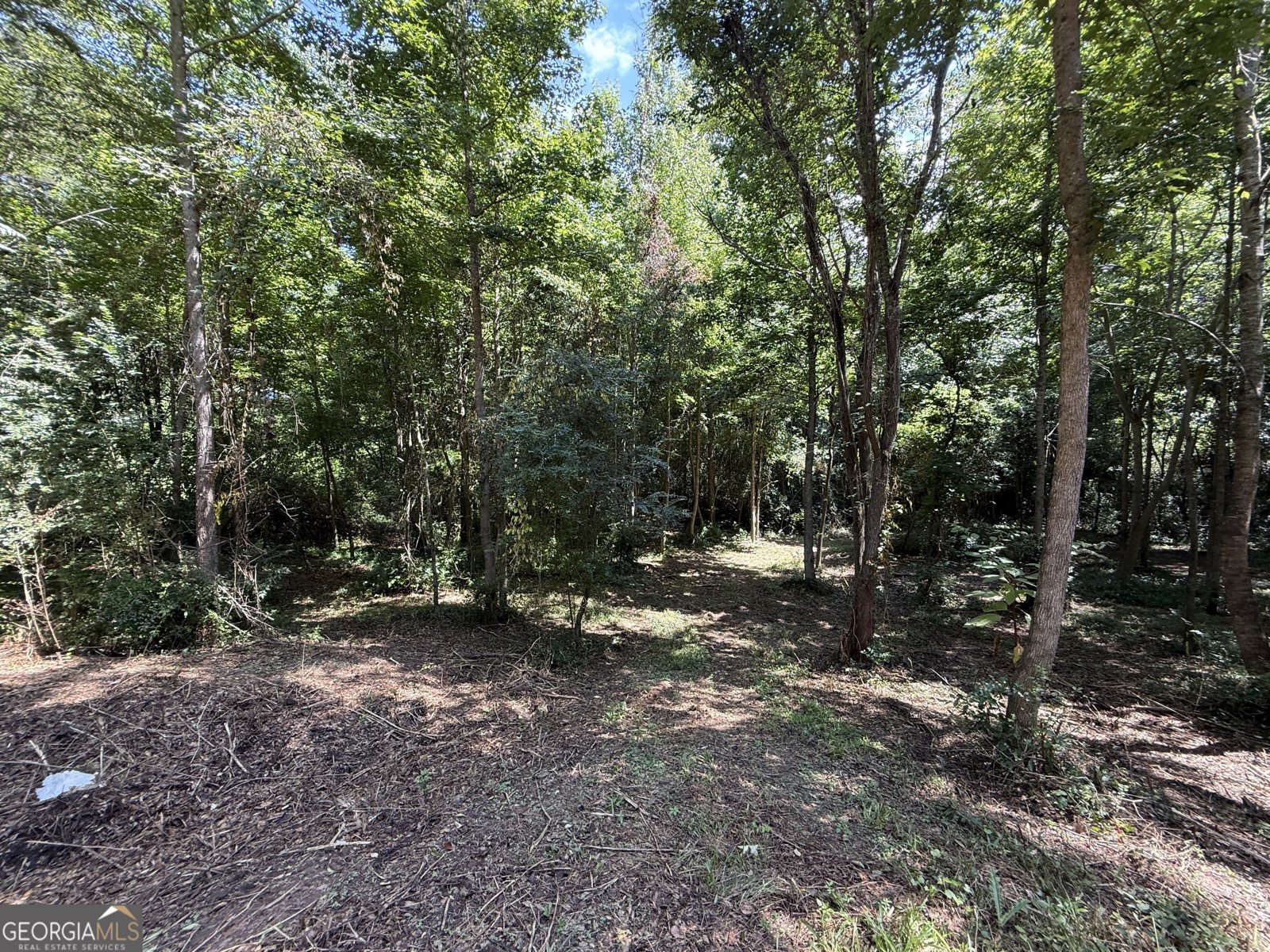 6164 Warner Road Columbus - 55
