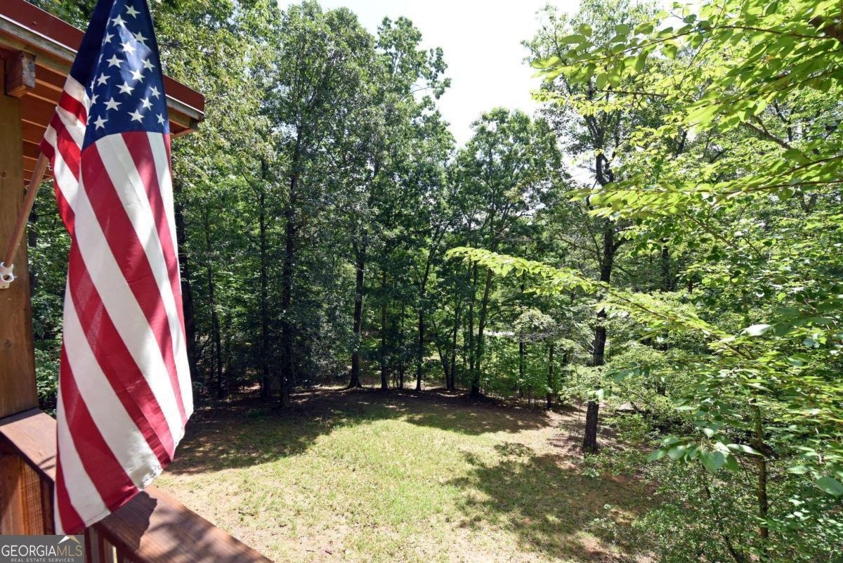 3373 Hardscrabble Road Mineral Bluff - 15