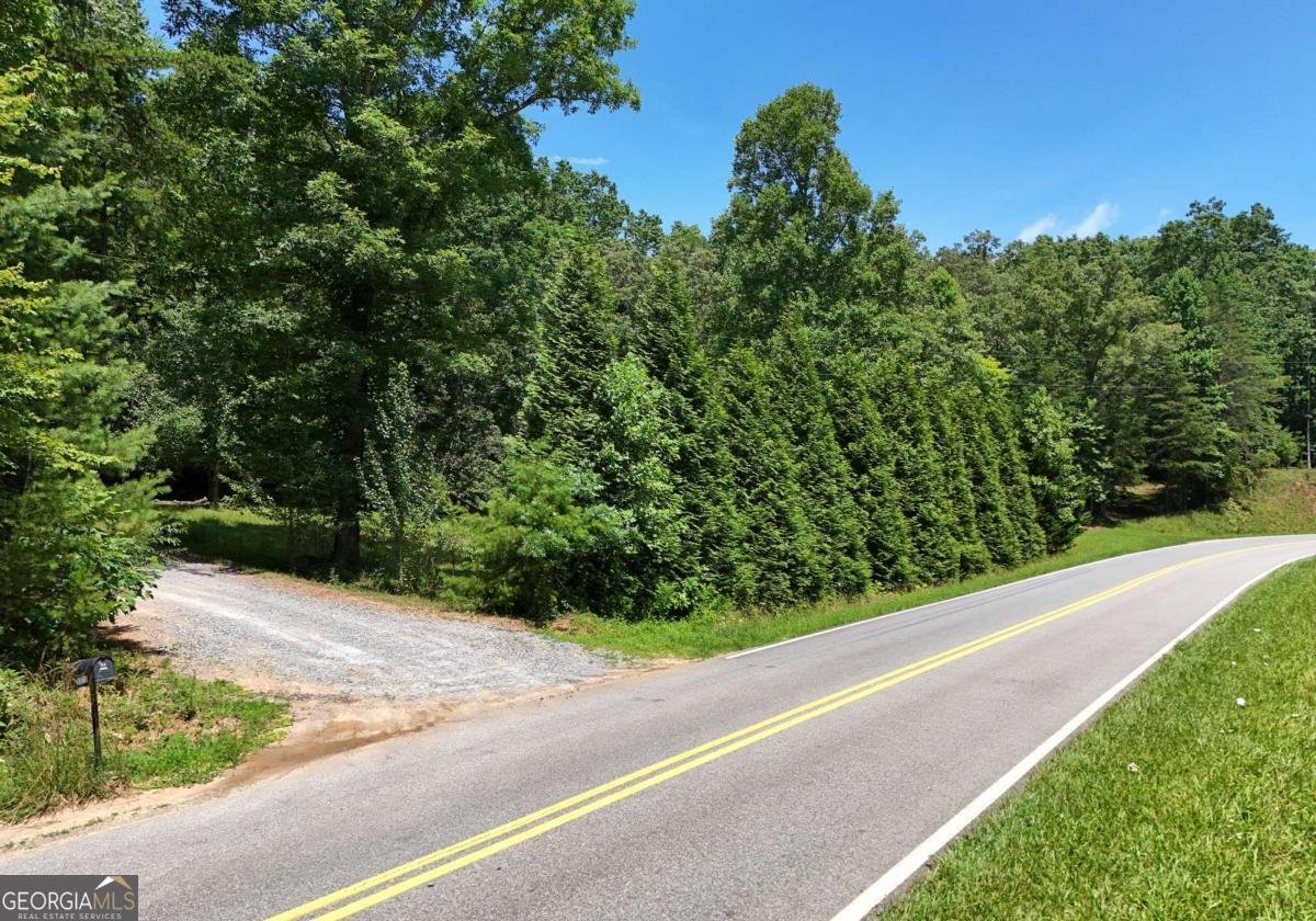 3373 Hardscrabble Road Mineral Bluff - 5