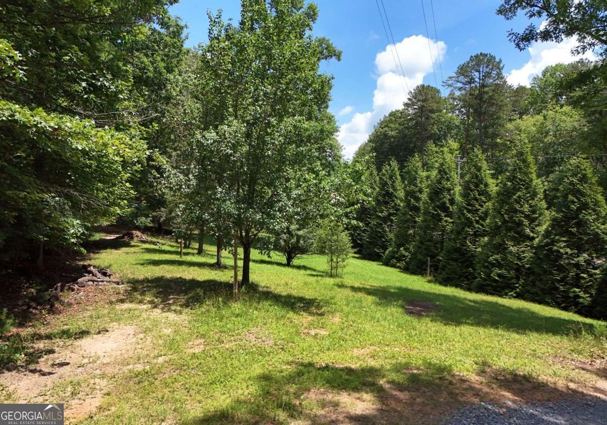 3373 Hardscrabble Road Mineral Bluff - 6