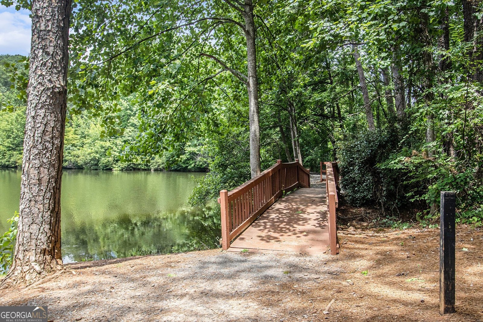 407 Mountain View Lane Woodstock - 21