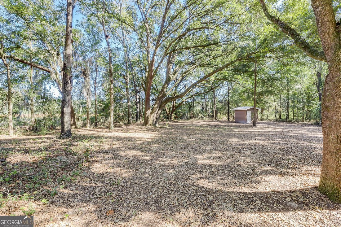 281 Noel C Conaway Road Guyton - 35