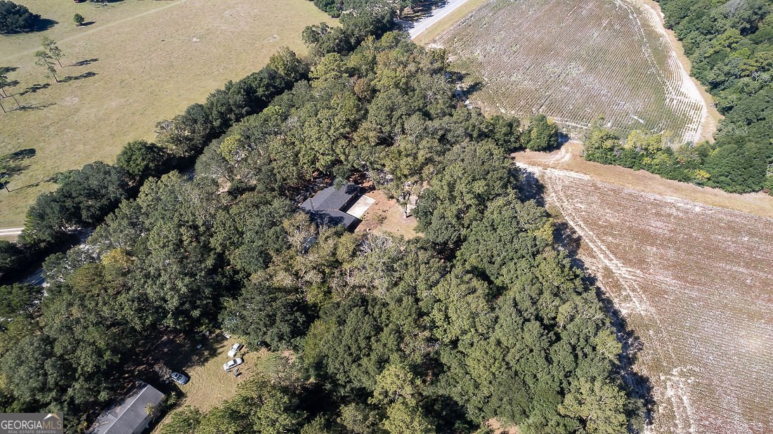 281 Noel C Conaway Road Guyton - 37