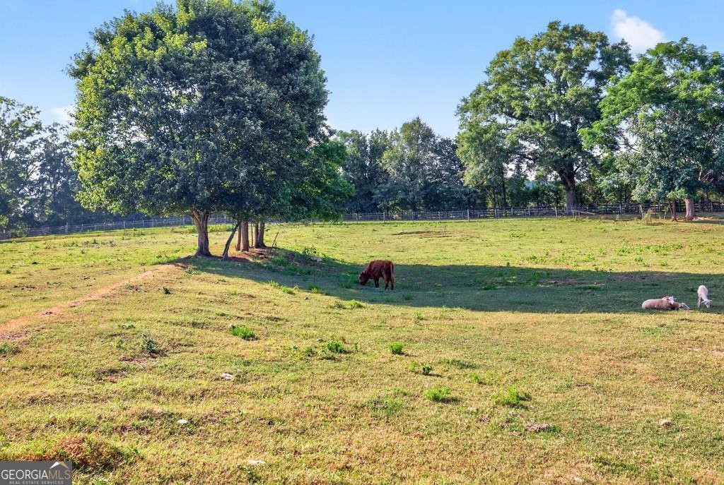 1724 Cedar Grove Church Road Winder - 37