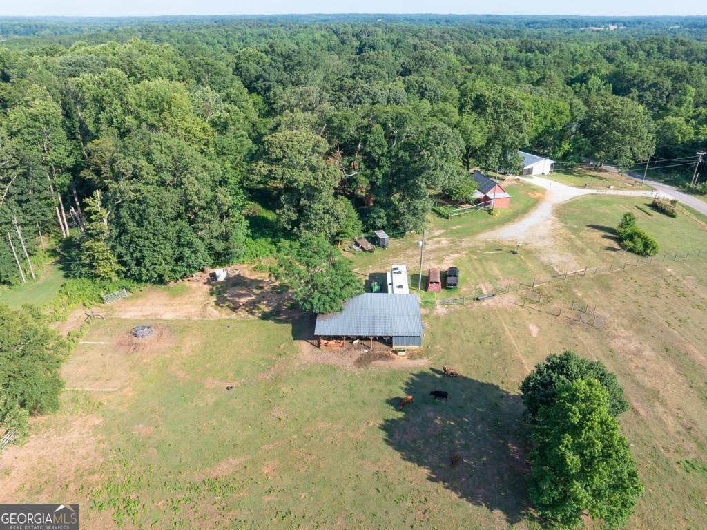1724 Cedar Grove Church Road Winder - 55