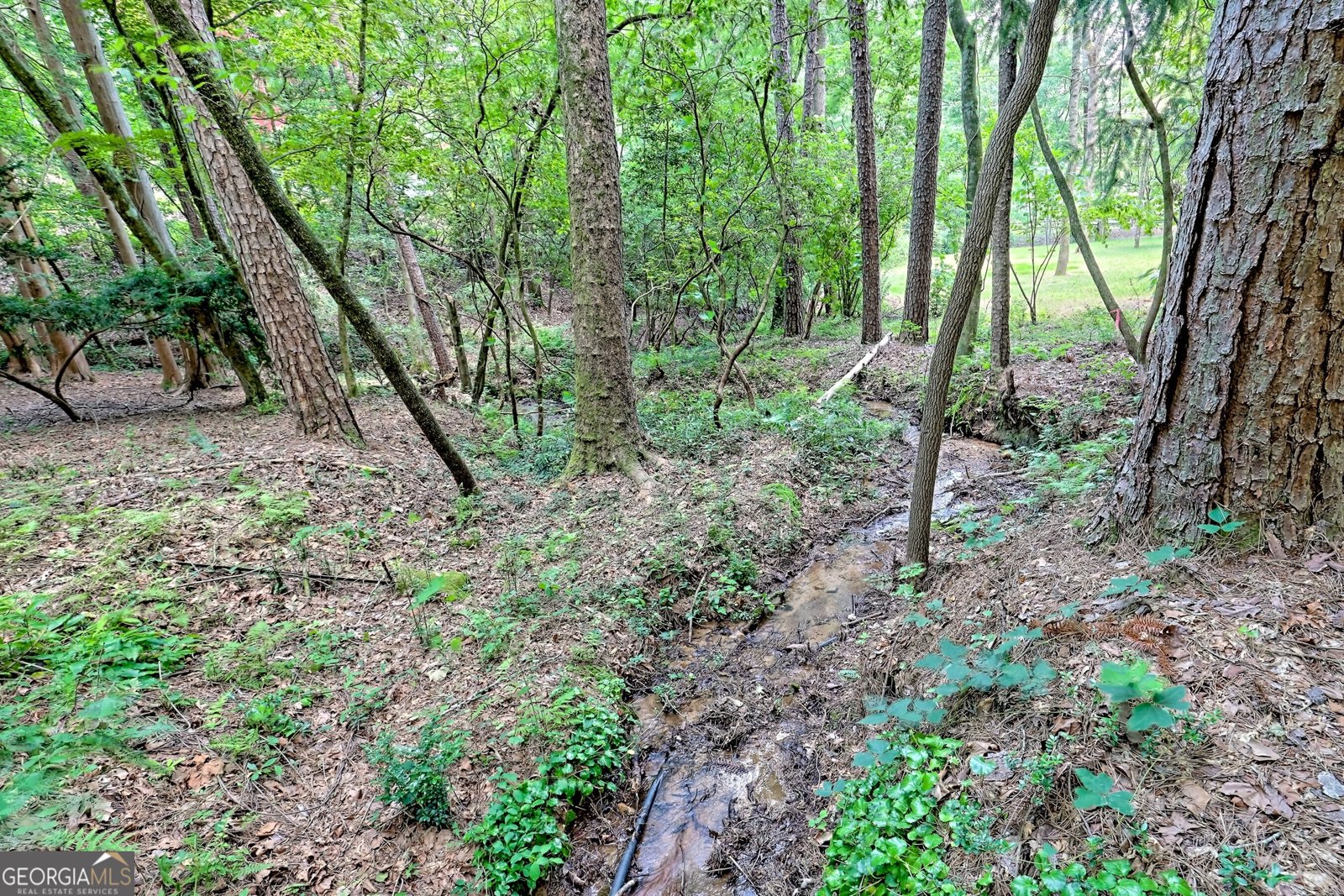 968 Lake Rabun Road Lakemont - 49