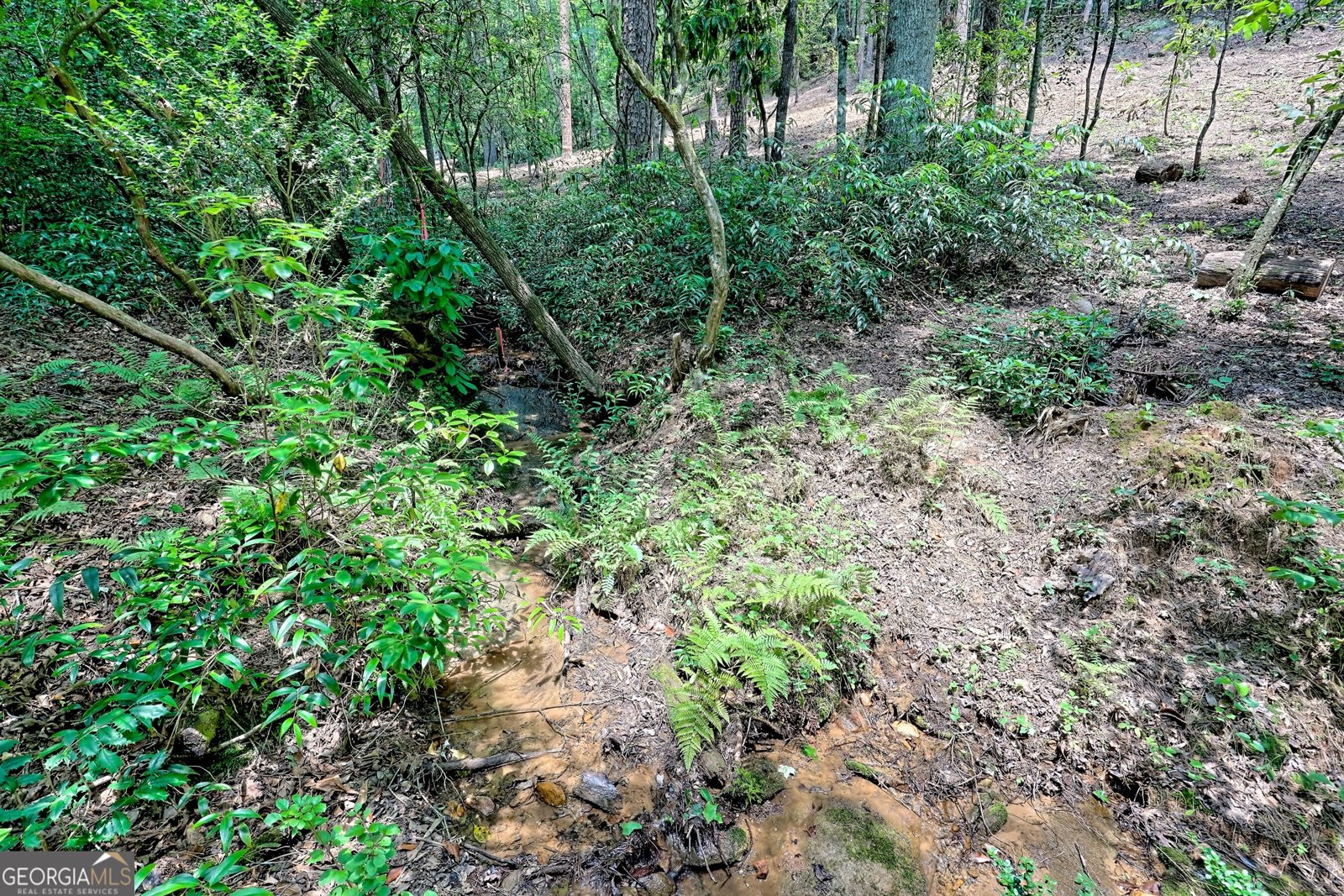 968 Lake Rabun Road Lakemont - 50