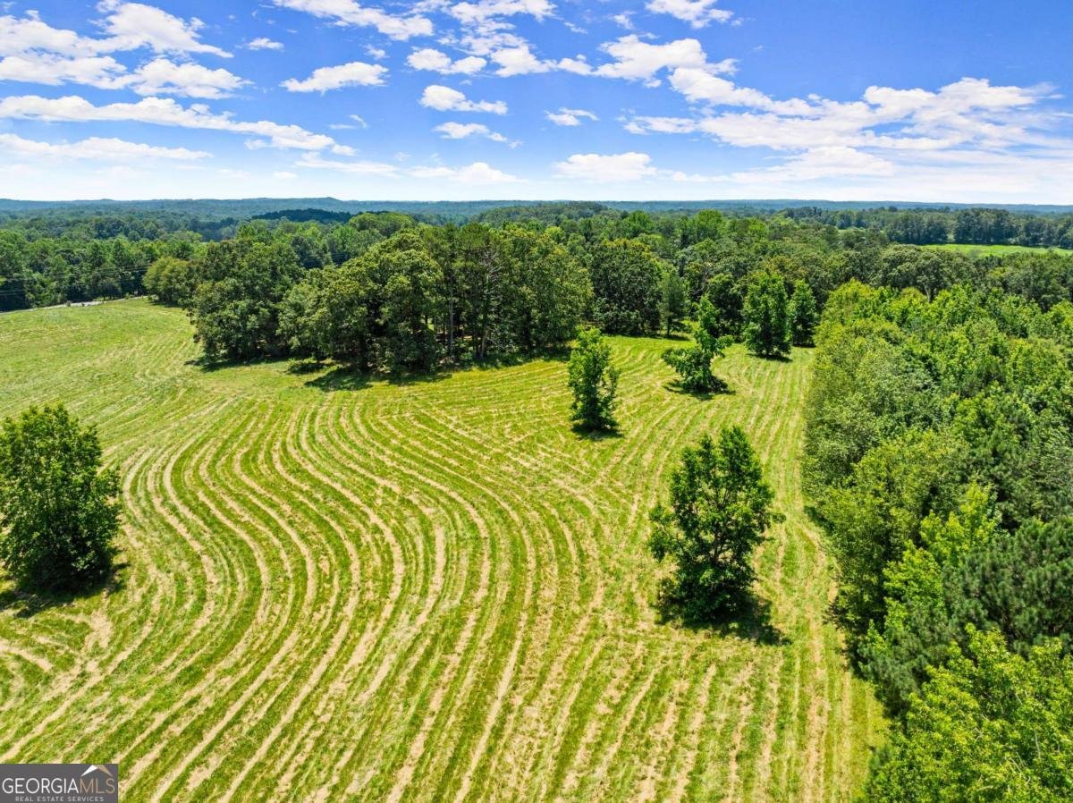 4169 Clarks Bridge Road Gainesville - 20