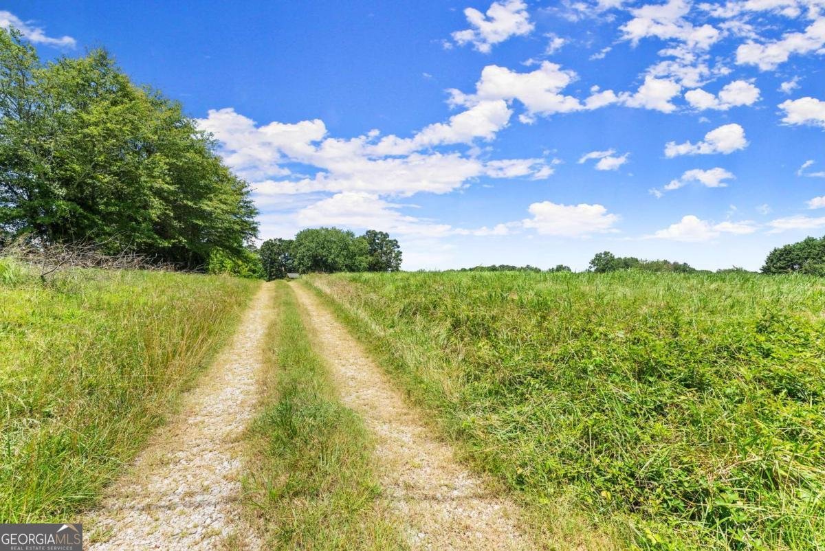 4169 Clarks Bridge Road Gainesville - 4