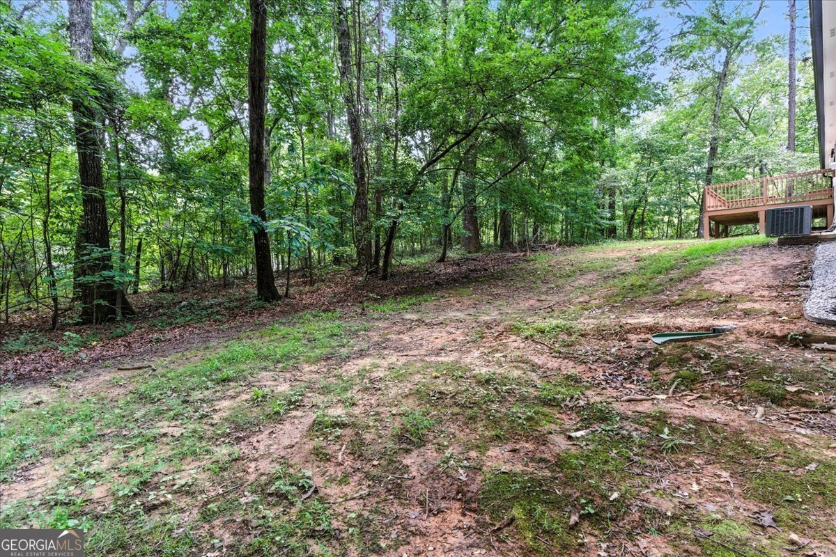 4090 Chapel Hill Road Douglasville - 40