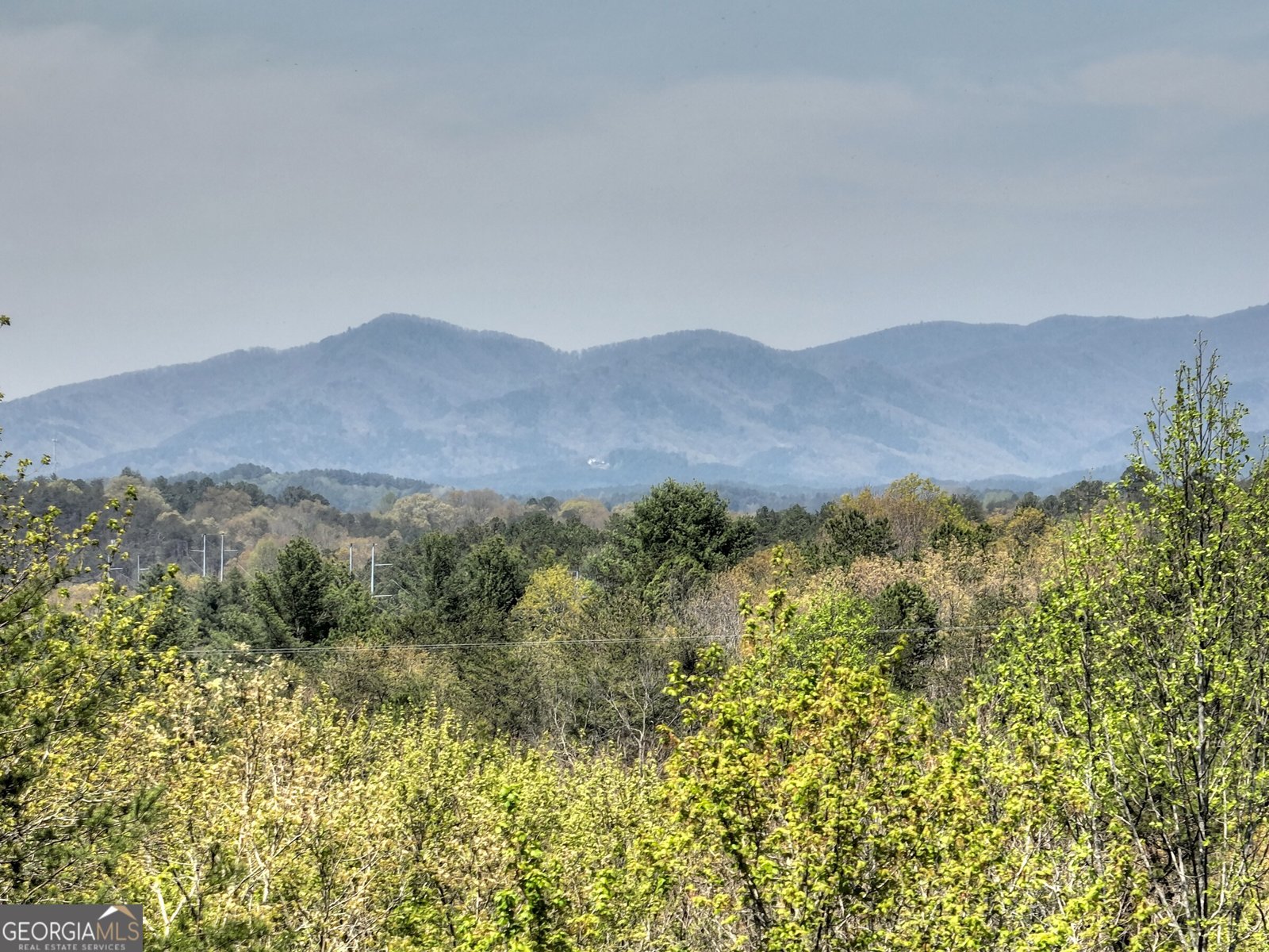 5 Moccasin Trail Mineral Bluff - 1
