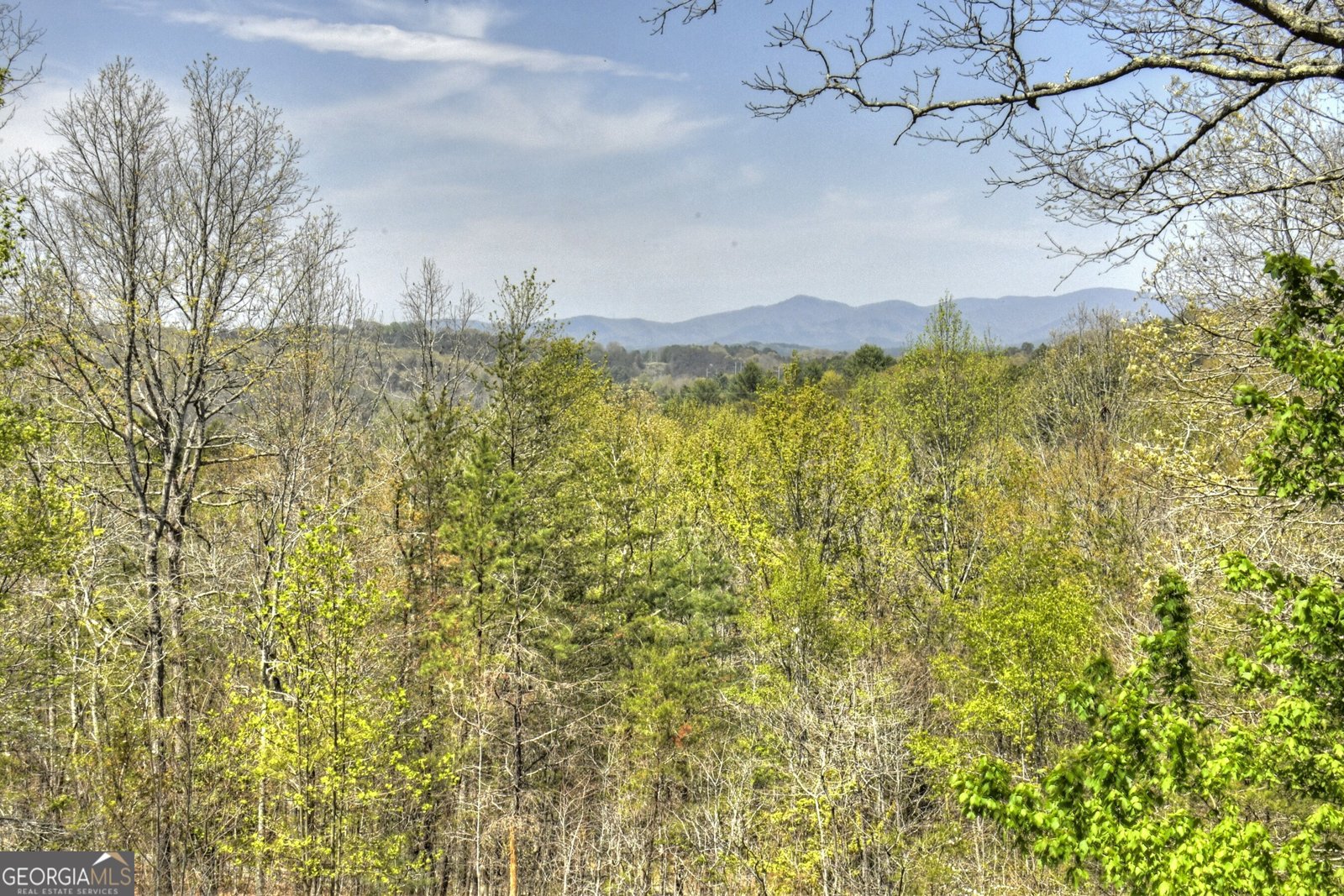 5 Moccasin Trail Mineral Bluff - 31