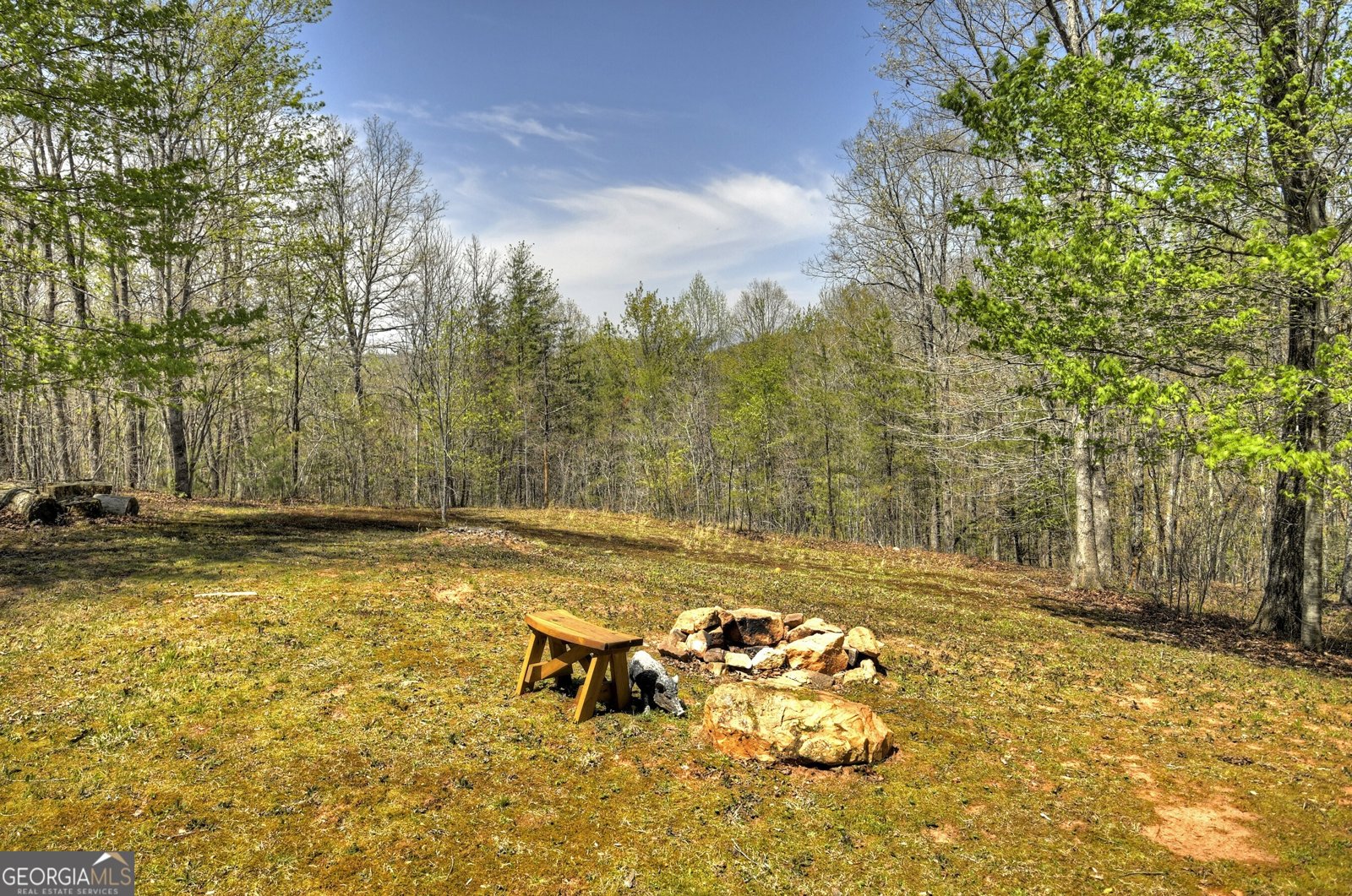 5 Moccasin Trail Mineral Bluff - 41