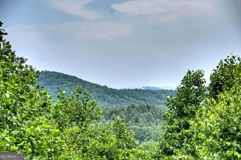 200 Dancing Leaves Trail Blue Ridge - 2