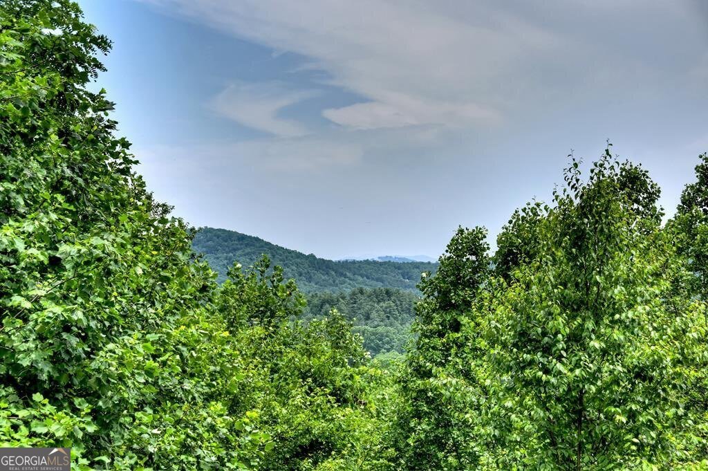 200 Dancing Leaves Trail Blue Ridge - 43